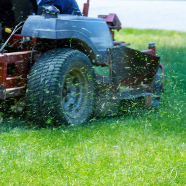 Commercial Lawn Services Birmingham Alabama