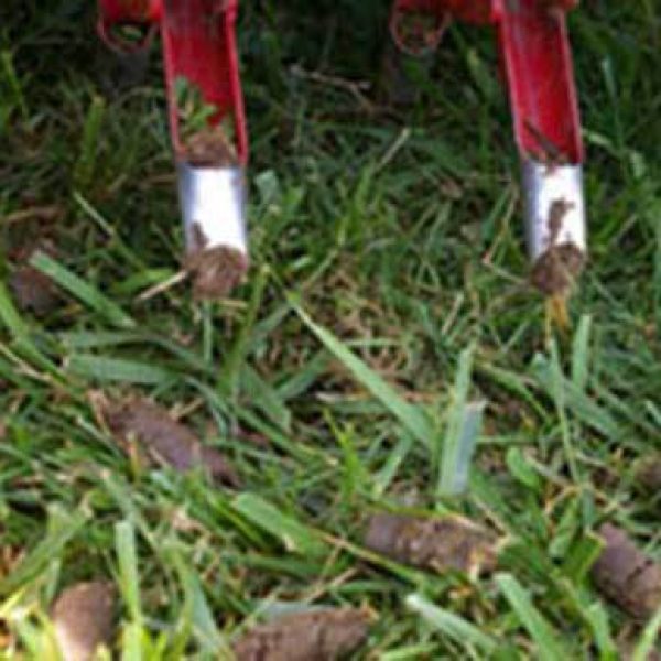 Core Aeration Birmingham Alabama