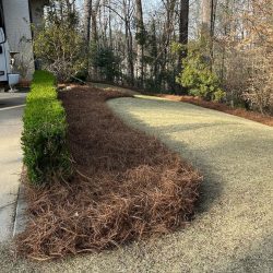 Landscape installation Birmingham AL