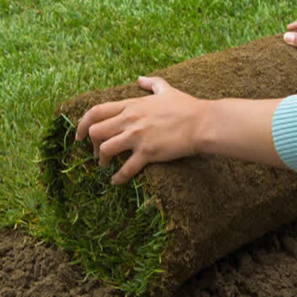 Sod Installations & New Lawns Birmingham, Alabama
